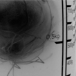 notuberlab-sw.jpg